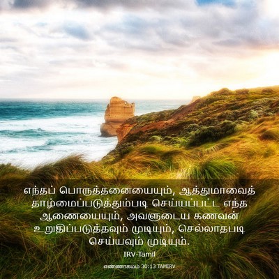Picture 03 - எண்ணாகமம் 30:13 TAMIRV - எந்தப் - Bible Verse Picture