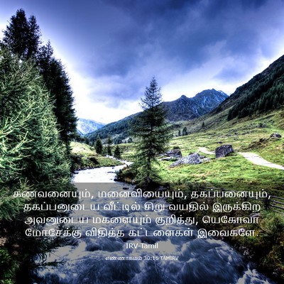 Picture 03 - எண்ணாகமம் 30:16 TAMIRV - கணவனையும், - Bible Verse Picture
