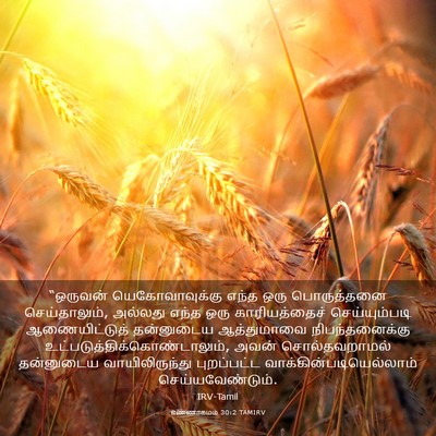 Picture 03 - எண்ணாகமம் 30:2 TAMIRV - “ஒருவன் - Bible Verse Picture