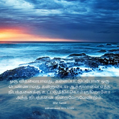 Picture 03 - எண்ணாகமம் 30:9 TAMIRV - ஒரு விதவையாவது, - Bible Verse Picture