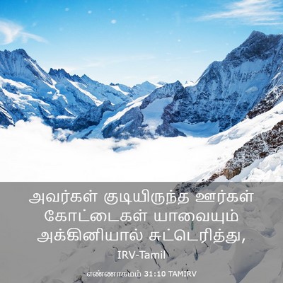 Picture 03 - எண்ணாகமம் 31:10 TAMIRV - அவர்கள் - Bible Verse Picture