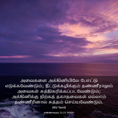 Picture 03 - எண்ணாகமம் 31:23 TAMIRV - அவைகளை - Bible Verse Picture