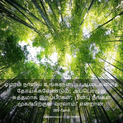 Picture 03 - எண்ணாகமம் 31:24 TAMIRV - ஏழாம் நாளில் - Bible Verse Picture