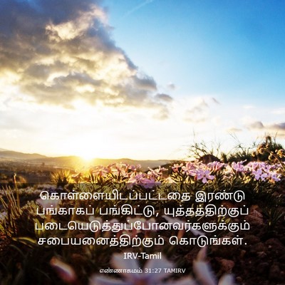 Picture 03 - எண்ணாகமம் 31:27 TAMIRV -  - Bible Verse Picture