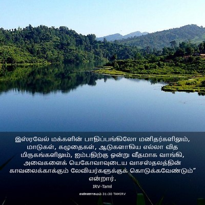Picture 03 - எண்ணாகமம் 31:30 TAMIRV - இஸ்ரவேல் மக்களின் - Bible Verse Picture