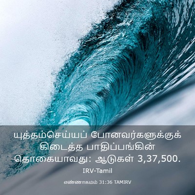 Picture 03 - எண்ணாகமம் 31:36 TAMIRV - யுத்தம்செய்யப் - Bible Verse Picture