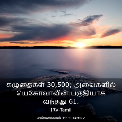 Picture 03 - எண்ணாகமம் 31:39 TAMIRV - கழுதைகள் 30,500; - Bible Verse Picture