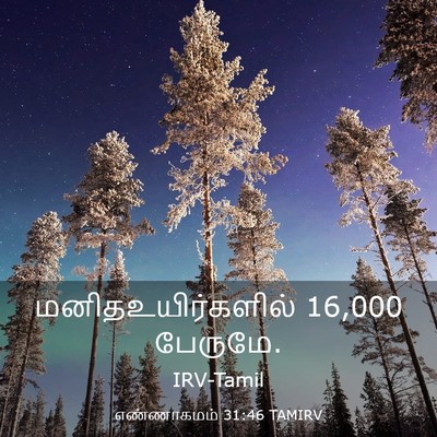 Picture 03 - எண்ணாகமம் 31:46 TAMIRV - மனிதஉயிர்களில் 16,000 - Bible Verse Picture