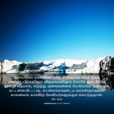 Picture 03 - எண்ணாகமம் 31:47 TAMIRV - இஸ்ரவேல் மக்களின் - Bible Verse Picture