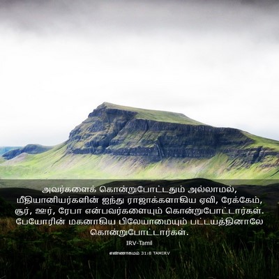 Picture 03 - எண்ணாகமம் 31:8 TAMIRV - அவர்களைக் - Bible Verse Picture