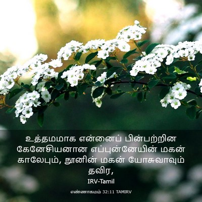 Picture 03 - எண்ணாகமம் 32:11 TAMIRV - உத்தமமாக என்னைப் - Bible Verse Picture