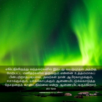 Picture 03 - எண்ணாகமம் 32:12 TAMIRV - எகிப்திலிருந்து - Bible Verse Picture