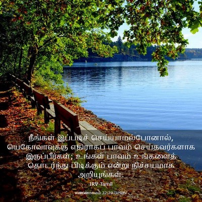 Picture 03 - எண்ணாகமம் 32:23 TAMIRV - நீங்கள் இப்படிச் - Bible Verse Picture
