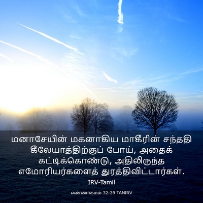 Picture 03 - எண்ணாகமம் 32:39 TAMIRV - மனாசேயின் மகனாகிய - Bible Verse Picture