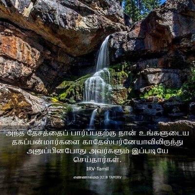 Picture 03 - எண்ணாகமம் 32:8 TAMIRV - அந்த தேசத்தைப் - Bible Verse Picture