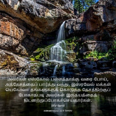 Picture 03 - எண்ணாகமம் 32:9 TAMIRV - அவர்கள் எஸ்கோல் - Bible Verse Picture