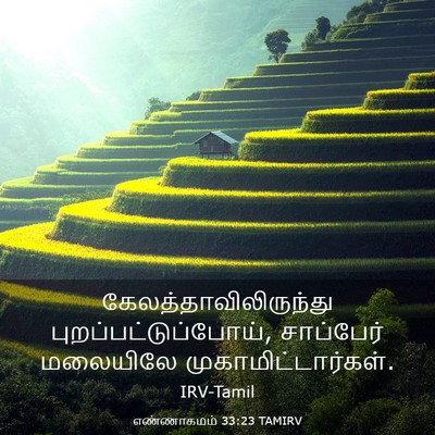 Picture 03 - எண்ணாகமம் 33:23 TAMIRV -  - Bible Verse Picture