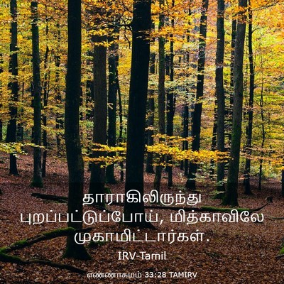Picture 03 - எண்ணாகமம் 33:28 TAMIRV - தாராகிலிருந்து - Bible Verse Picture
