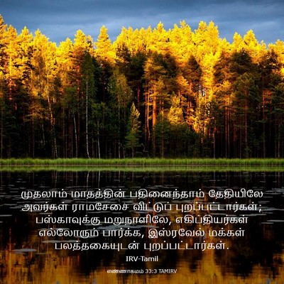 Picture 03 - எண்ணாகமம் 33:3 TAMIRV - முதலாம் மாதத்தின் - Bible Verse Picture