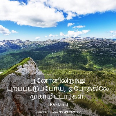 Picture 03 - எண்ணாகமம் 33:43 TAMIRV - பூனோனிலிருந்து - Bible Verse Picture