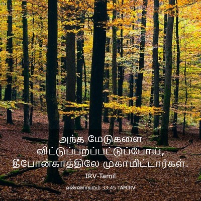 Picture 03 - எண்ணாகமம் 33:45 TAMIRV - அந்த மேடுகளை - Bible Verse Picture