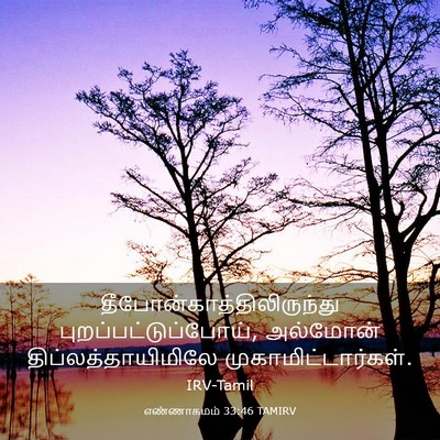 Picture 03 - எண்ணாகமம் 33:46 TAMIRV -  - Bible Verse Picture