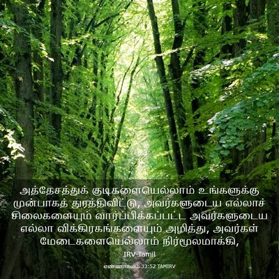 Picture 03 - எண்ணாகமம் 33:52 TAMIRV - அத்தேசத்துக் - Bible Verse Picture