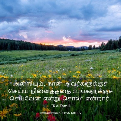 Picture 03 - எண்ணாகமம் 33:56 TAMIRV - அன்றியும், நான் - Bible Verse Picture