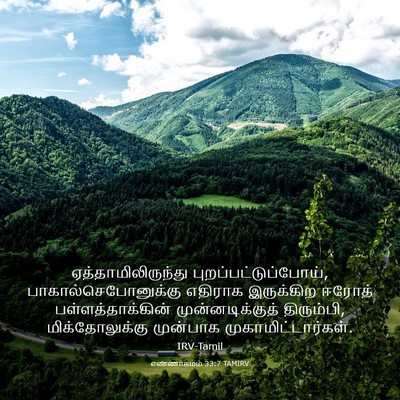 Picture 03 - எண்ணாகமம் 33:7 TAMIRV - ஏத்தாமிலிருந்து - Bible Verse Picture