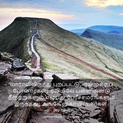 Picture 03 - எண்ணாகமம் 33:9 TAMIRV - மாராவிலிருந்து - Bible Verse Picture