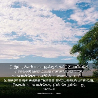 Picture 03 - எண்ணாகமம் 34:2 TAMIRV - நீ இஸ்ரவேல் - Bible Verse Picture
