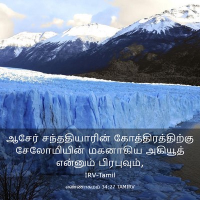 Picture 03 - எண்ணாகமம் 34:27 TAMIRV - ஆசேர் - Bible Verse Picture