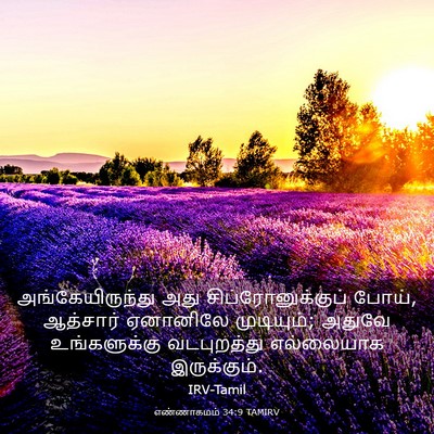 Picture 03 - எண்ணாகமம் 34:9 TAMIRV - அங்கேயிருந்து அது - Bible Verse Picture