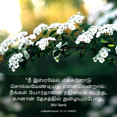 Picture 03 - எண்ணாகமம் 35:10 TAMIRV - “நீ இஸ்ரவேல் - Bible Verse Picture