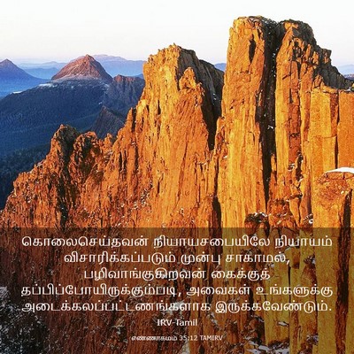 Picture 03 - எண்ணாகமம் 35:12 TAMIRV - கொலைசெய்தவன் - Bible Verse Picture