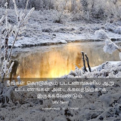 Picture 03 - எண்ணாகமம் 35:13 TAMIRV - நீங்கள் - Bible Verse Picture