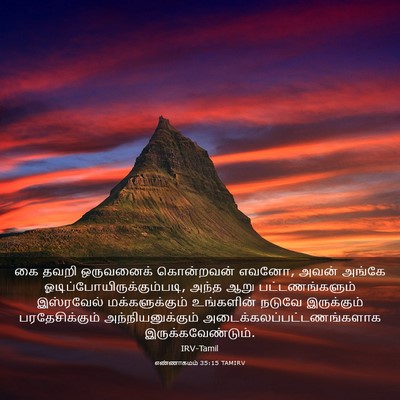 Picture 03 - எண்ணாகமம் 35:15 TAMIRV - கை தவறி ஒருவனைக் - Bible Verse Picture