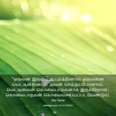 Picture 03 - எண்ணாகமம் 35:16 TAMIRV - “ஒருவன் இரும்பு - Bible Verse Picture
