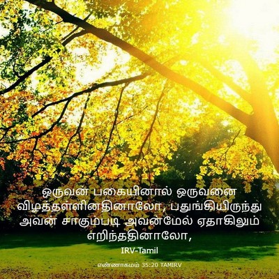 Picture 03 - எண்ணாகமம் 35:20 TAMIRV - ஒருவன் பகையினால் - Bible Verse Picture