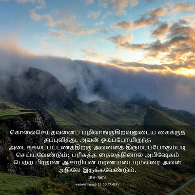Picture 03 - எண்ணாகமம் 35:25 TAMIRV - கொலைசெய்தவனைப் - Bible Verse Picture