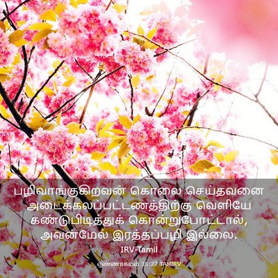 Picture 03 - எண்ணாகமம் 35:27 TAMIRV - பழிவாங்குகிறவன் - Bible Verse Picture