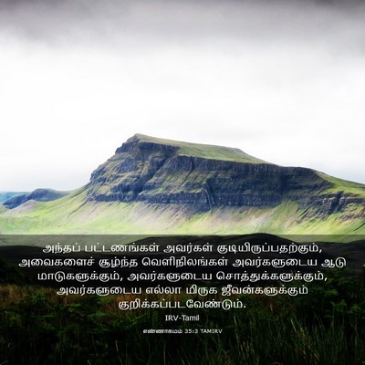 Picture 03 - எண்ணாகமம் 35:3 TAMIRV - அந்தப் பட்டணங்கள் - Bible Verse Picture