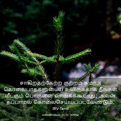 Picture 03 - எண்ணாகமம் 35:31 TAMIRV - சாகிறதற்கேற்ற - Bible Verse Picture