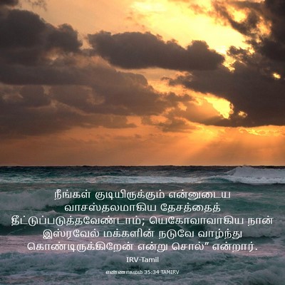 Picture 03 - எண்ணாகமம் 35:34 TAMIRV - நீங்கள் - Bible Verse Picture