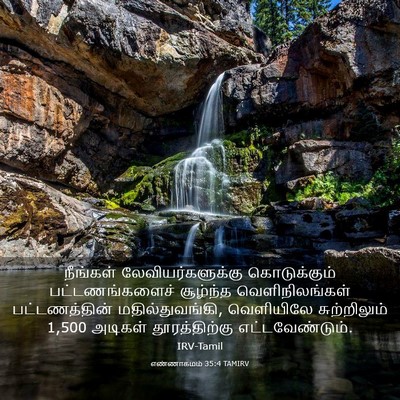 Picture 03 - எண்ணாகமம் 35:4 TAMIRV - நீங்கள் - Bible Verse Picture