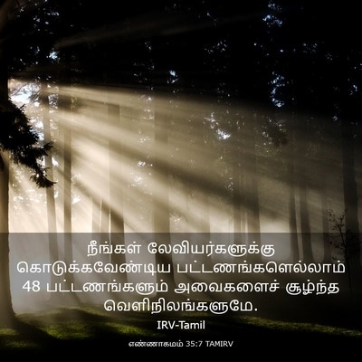 Picture 03 - எண்ணாகமம் 35:7 TAMIRV - நீங்கள் - Bible Verse Picture