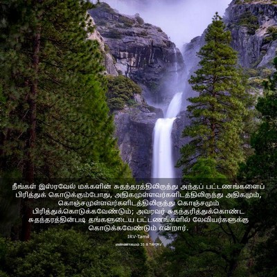 Picture 03 - எண்ணாகமம் 35:8 TAMIRV - நீங்கள் இஸ்ரவேல் - Bible Verse Picture