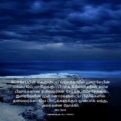 Picture 03 - எண்ணாகமம் 36:1 TAMIRV - யோசேப்பின் - Bible Verse Picture