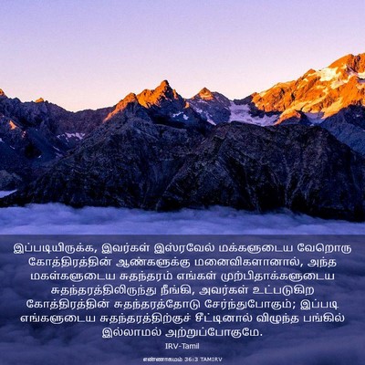 Picture 03 - எண்ணாகமம் 36:3 TAMIRV - இப்படியிருக்க, - Bible Verse Picture