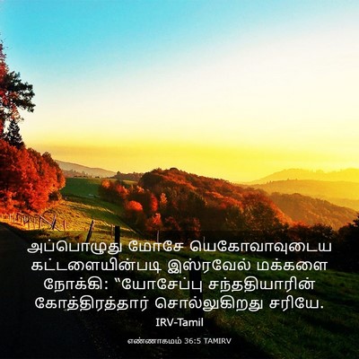 Picture 03 - எண்ணாகமம் 36:5 TAMIRV - அப்பொழுது மோசே - Bible Verse Picture